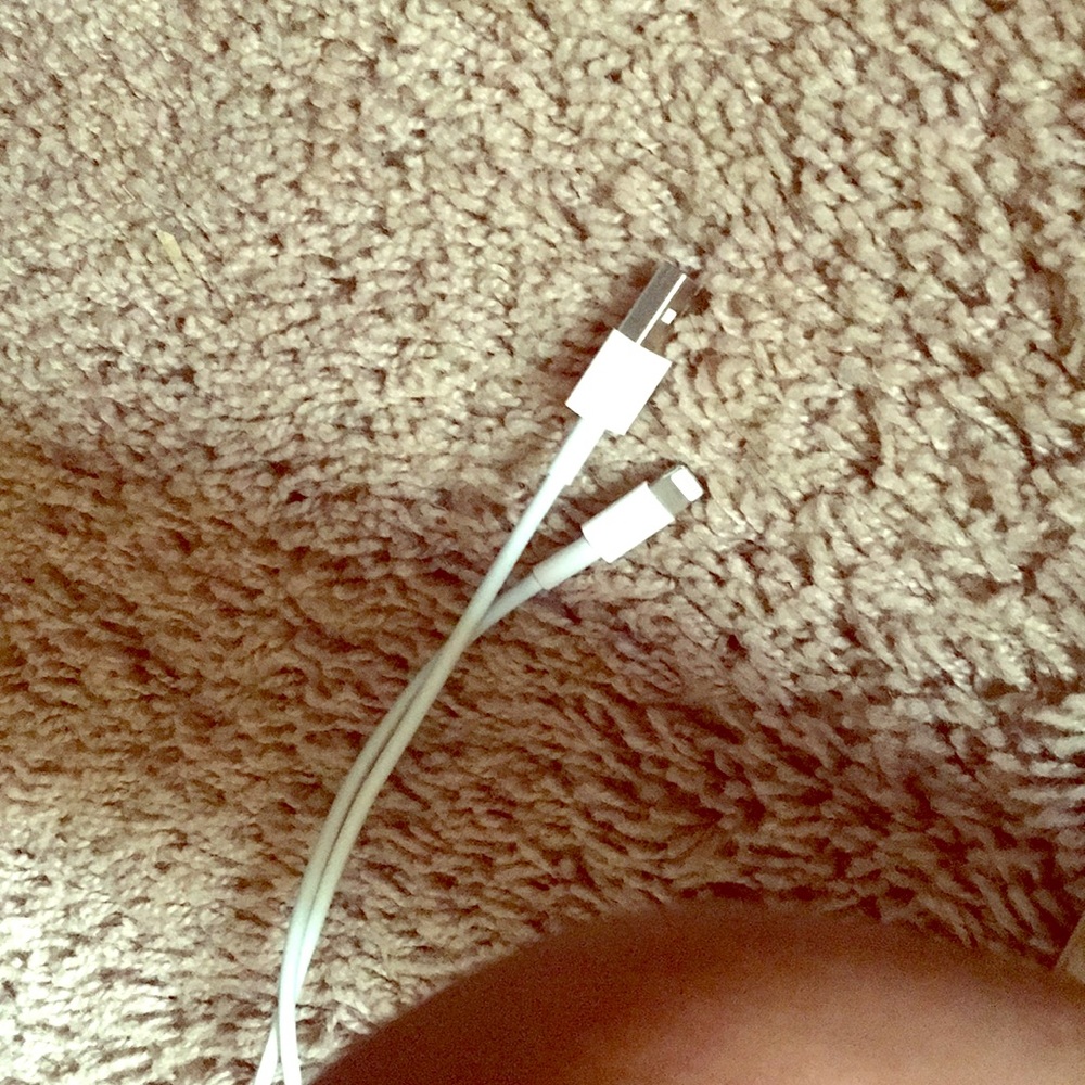 iPhone charger